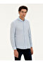 Blue Slim Fit Cotton Blended Striped Shirt 50284424-Vr036