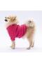 Pink Merino Cat Dog Sweat - Cat Dog Outfit - 3