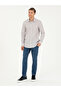 Brown Slim Fit Cotton Striped Shirt 50291352-Vr029 - 4