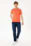 Men's Pomegranate Flower Basic T-Shirt 50284633 -Vr039 - 4