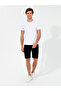 Black Comfort Fit Knitted Shorts 50247942-Vr046