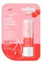 Cherry Flavored Moisturizing Colored Lip Care Cream 4.8 Gr - 4