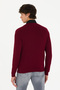 Men's Burgundy V-Neck Sweater 50275819-Vr014 - 5