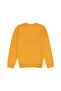 Boy's Mustard Basic Sweater 50275849 -Vr072 - 2