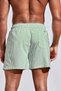 Men's Basic Standard Size Thin Striped Printed Swimsuit with Pocket Swim Shorts - 2