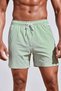 Men's Basic Standard Size Thin Striped Printed Swimsuit with Pocket Swim Shorts - 4