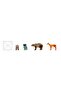 Forest Animals - 25 Pieces - 6