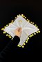 Bride Groom Crescent and Star Printed Chiffon Halay Handkerchief, Wedding Henna Promise Engagement Circumcision, White Gold 5 Pieces