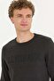 Flex Men's Knitwear Sweater G081Sz0Tk.000.1484933.Vr081