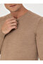 Camel Slim Fit Crew Neck Knitwear Sweater 50270174-Vr015 - 7