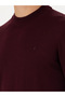Dark Burgundy Slim Fit Quarter Turtleneck Knitwear Sweater 50276521-Vr175 - 7