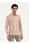 Brown Slim Fit Striped Shirt 50285448-VR029