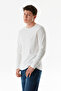 Basic Crew Neck Body - 4