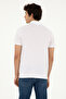 Men's Regular Fit Polo Neck Pink T-Shirt 50281944-Vr041 - 5