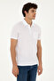 Men's Regular Fit Polo Neck Pink T-Shirt 50281944-Vr041