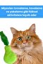 Plush Pear Cat Toy Green Plush Cat Toys with Catnip - 4