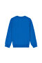 Boy's Cobalt Blue Basic Sweater 50275849 -Vr077 - 2