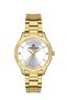 Dk.1.13491-3 Women's Wristwatch