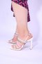 Pare Series Thin Heeled Women's Evening Dress Shoes