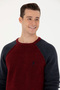 Men's Burgundy Sweater 50271049 -Vr014 - 2