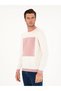 Powder Slim Fit Wool Blend Crew Neck Knitwear Sweater 50271747-Vr042 - 3