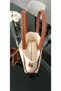 Women's Hand and Shoulder Bag and Crossbody Bag, Strap, Additional Bag, Puppy, Tan Cream Color - 5