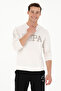 Men's Stone Sweatshirt 50273988 -Vr049 - 3