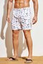 Men's Palm Tree Printed - Standard Size Swim Shorts with Pockets - 5