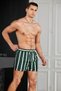 Men's Basic Standard Size Striped Printed Swimsuit with Pocket Swim Shorts - 3