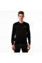 Men's Regular Fit Crew Neck Claret Red Sweater