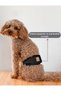 Dog Panties, Male Dog Pee Diapers, Black Dog Panties - 6