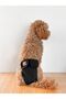 Black Dog Menstrual Panties, Female Dog Pee Diaper - 7