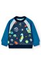 Boy's Sweatshirt Patterned