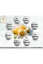 30 ml.100% Pure Chamomile Oil - 5