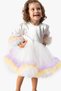 Baby Girl Dress Girls' Dress Birthday Party Wedding Tutu Tulle Long Sleeve Lined Dress - 5