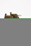 Women's Genuine Suede Leather Lace-Up Short Boots 5089 - 4