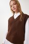 Women's Brown V-Neck Knitwear Sweater Pf00099