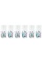Fish Eye, Raki Glass Set of 6 - 2