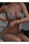 Zebra Patterned Bikini Set