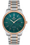 Cl113T-15Sr