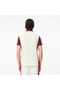 Men's Regular Fit Color Blocked White Polo - 3