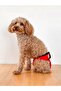 Red Dog Menstrual Panties, Female Dog Pee Diaper - 7