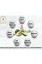 Avocado Oil 30 ml. 100% Pure - 5