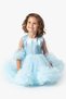 Baby Girl Dress Girls' Dress Birthday Party Wedding Tutu Tulle Long Sleeve Lined Dress - 5