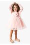 Baby Girl Dress Girls' Dress Birthday Party Wedding Tutu Tulle Long Sleeve Lined Dress - 3