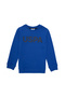 Boy's Cobalt Blue Crew Neck Sweatshirt 50289143-Vr045