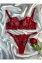 Valentine's Day Special Red Heart Bra Set (Shipping Secret)