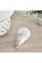 LED Day Light Bulb - 10 W E27