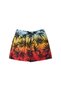 Everyday Mix Volley 15 Men's Volley Men's Volley Shorts Aqyjv03147 - 2