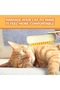 Steam Cat Comb with Handle, Steam Cat & Dog Washing Brush Comb with Soft Silicone - 7
